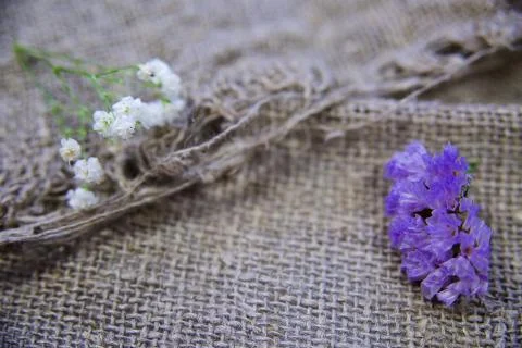 Flowers on a linen background Фото