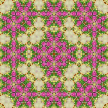 Flowers lines and square, pattern from tiles and border in pink ans lilas Illustrazione stock