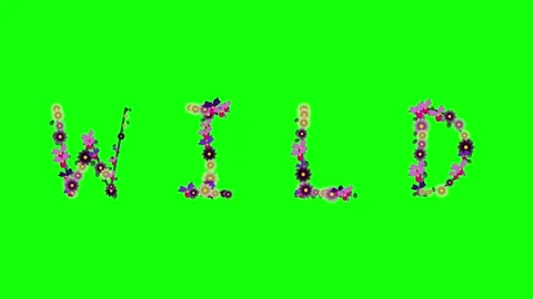 Flowers Looping on Chroma Key for Compositing Stock Footage 337996874