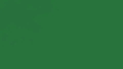 Flowers Looping On Chroma Key For Compositing Stock Footage 338015649