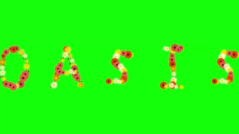 Flowers Looping - Chroma Key Green Screen Footage Stock Footage 337996583