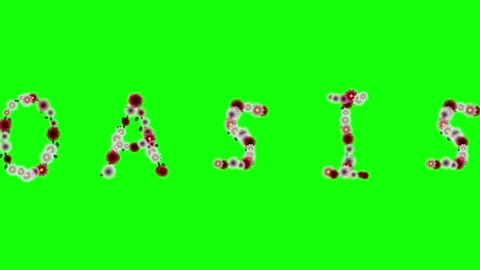 Flowers Looping Isolated Green Screen Stock Video Stock Footage 337996588