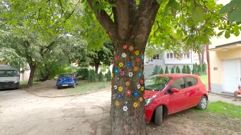 Flowers made of plastic plugs on a tree Stock Footage 140374606