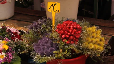 Flowers at the market Stock Footage 24777743