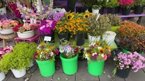 Flowers at the market Video stock 137817519