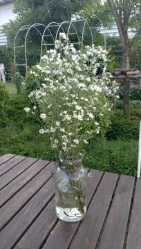 Flowers in a mechanical vase Stock Photos