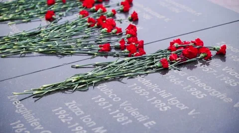 Flowers at the memorial in memory of fallen soldiers Stock Footage 60840559