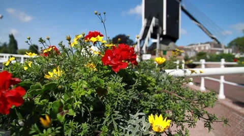 Flowers with mill Stock Footage 7722337