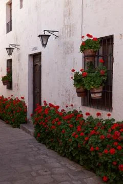 Flowers in a Monastery Stock Photos