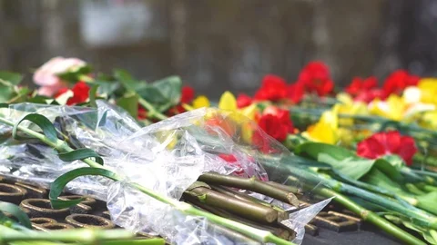 Flowers at the monument Vidéo 93829872