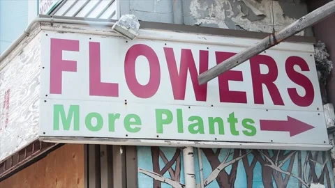 Flowers more plants writing caption text sign with arrow outside exterior Stock Footage 251353773