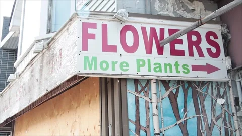 Flowers more plants writing caption text sign with arrow outside exterior Stock Footage 251353777