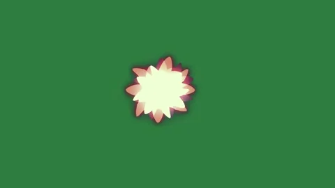 Flowers Motion With Broken - Chroma Key Green Screen Footage Stock Footage 338014529