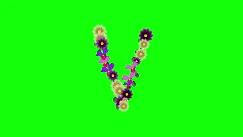 Flowers Motion - Chroma Key Green Screen Footage Stock Footage 337996463