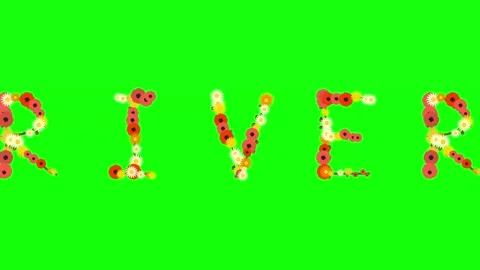 Flowers Motion - Chroma Key Green Screen Footage Stock Footage 337996662