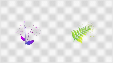 Flowers Motion Graphics Pack Stock Footage 263868741