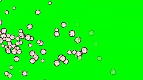 Flowers Motion with Lots - Chroma Key Green Screen Footage Video stock 337397174