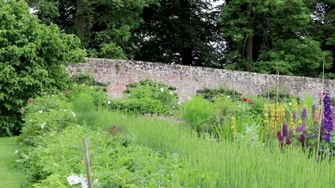 Flowers move left to right, pythouse kitchen gardens, wiltshire 스톡 동영상 137394787