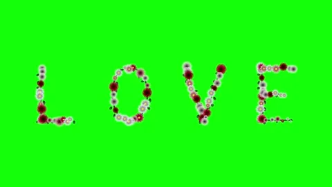 Flowers Moving on Green Screen Chroma Key Background Stock Footage 337996520