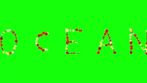 Flowers Moving on Green Screen Chroma Key Background Stock Footage 337996599