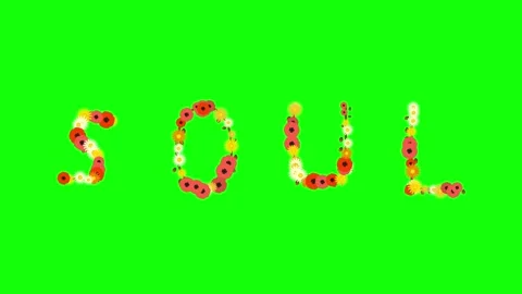 Flowers Moving with Shape on Green Screen Chroma Key Background Stock Footage 337996717