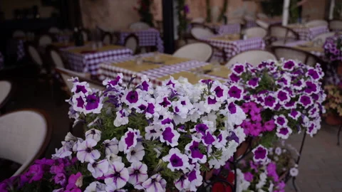 Flowers. Multicolored flowers stand in front of tables at a street cafe. Video stock 330389224