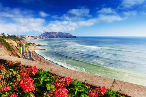 Flowers by the ocean. Lima. Stock Photos