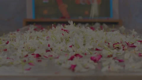 Flowers offering to memorial Video stock 226123482