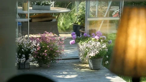 Flowers outside the windows Stock Footage 84210490