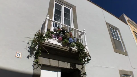 FLOWERS OVER THE DOOR Stock Footage 102106791