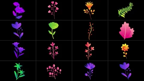 Flowers Pack for After Effects After Effects stock