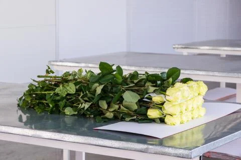 Flowers packaging process Stock Photos