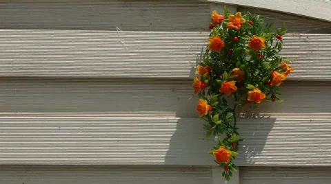 Flowers on a palisade Stock Footage 786935