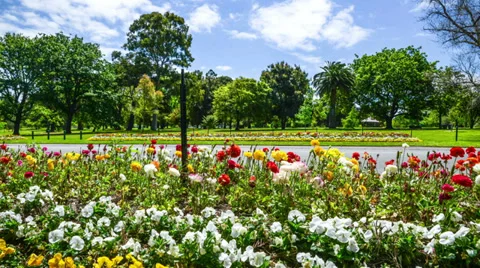 Flowers panning Video stock 32419947