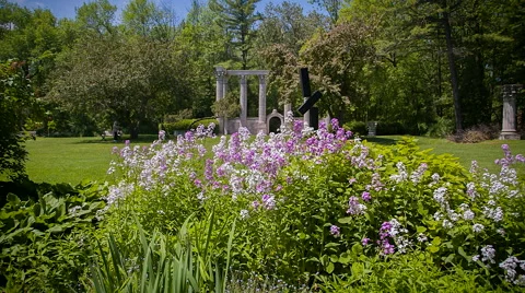 Flowers at the park Video stock 44536899