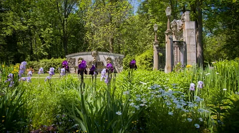 Flowers at the park Stock Footage 44537087