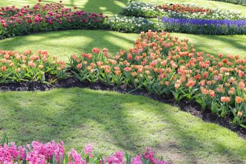 Flowers in a park Stock Photos