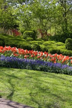 Flowers in a park Stock Photos