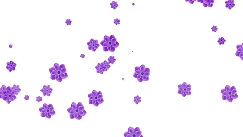 Flowers Particles Random, Flowers Particles Stock Footage 144200634