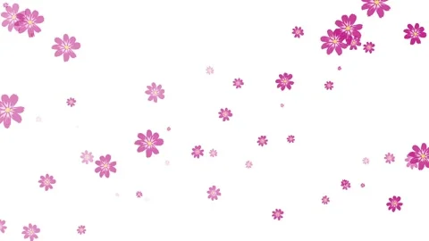 Flowers Particles Random, Flowers Particles Stock Footage 144200664
