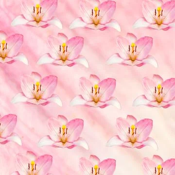 Flowers pattern background on the pink background. 库存照片