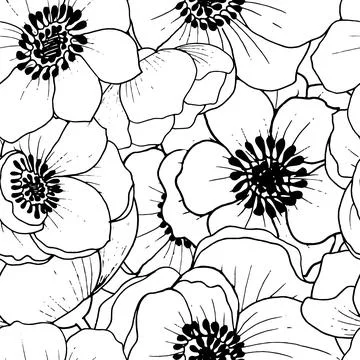 Flowers pattern black-white. Seamless pattern with white anemone flowers. White Stock Illustration
