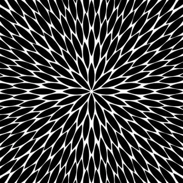 Flowers pattern, chamomile, round flower vector background 스톡 일러스트