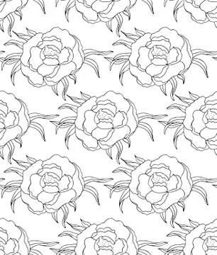 Flowers pattern, drawing and sketch with line-art on white backgrounds. Silho Stock Illustration