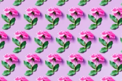 Flowers pattern floral geometry. Stock Photos