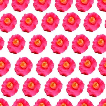 Flowers pattern. Stock Illustration