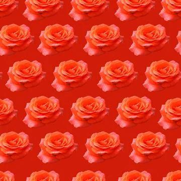 Flowers pattern. Stock Illustration