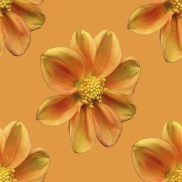 Flowers pattern. Stock Illustration