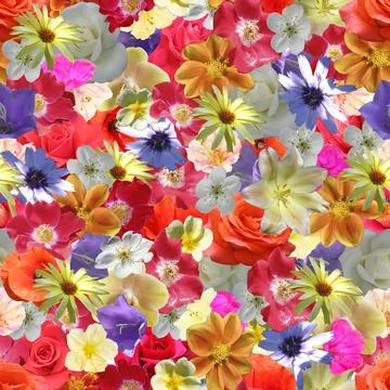 Flowers pattern. Stock Illustration