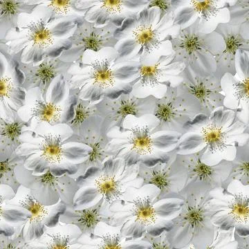 Flowers pattern. Stock Illustration